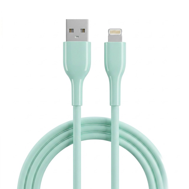 WS-008 — Type-C to Type-C, baked-enamel ABS + liquid silicone cable